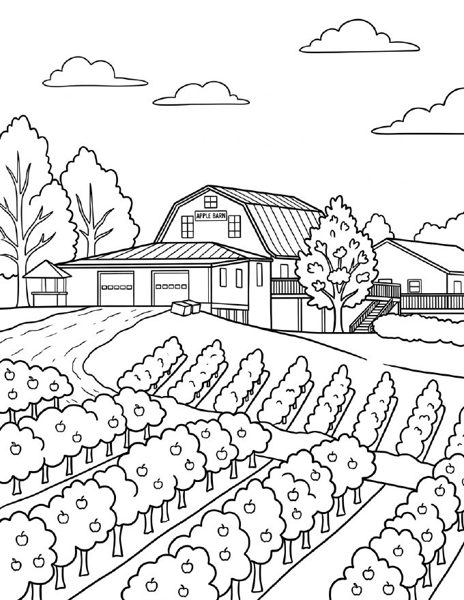 Barn and vineyard rows coloring page